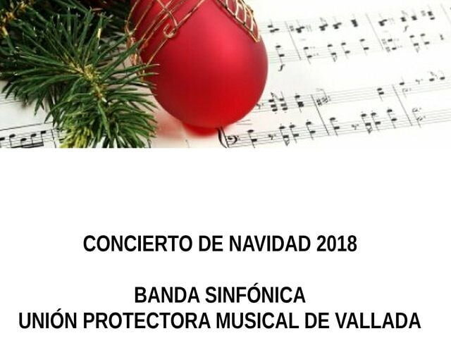 Banda Sinfónica Unión Protectora Musical de Vallada